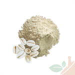 ودعة مطحونة مغربي 100 جم